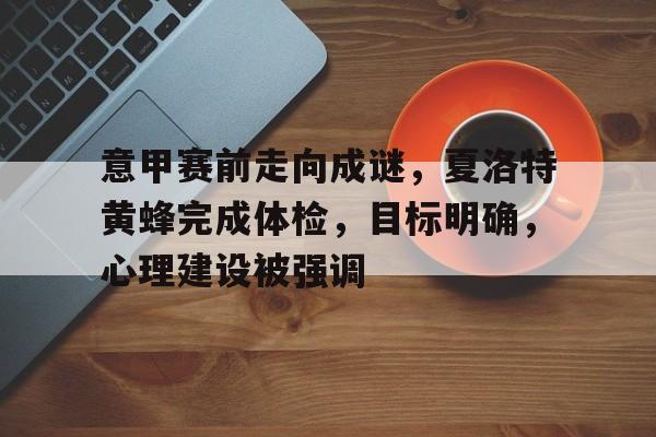 ky体育中国关于意甲赛前走向成谜，夏洛特黄蜂完成体检，目标明确，心理建设被强调的信息